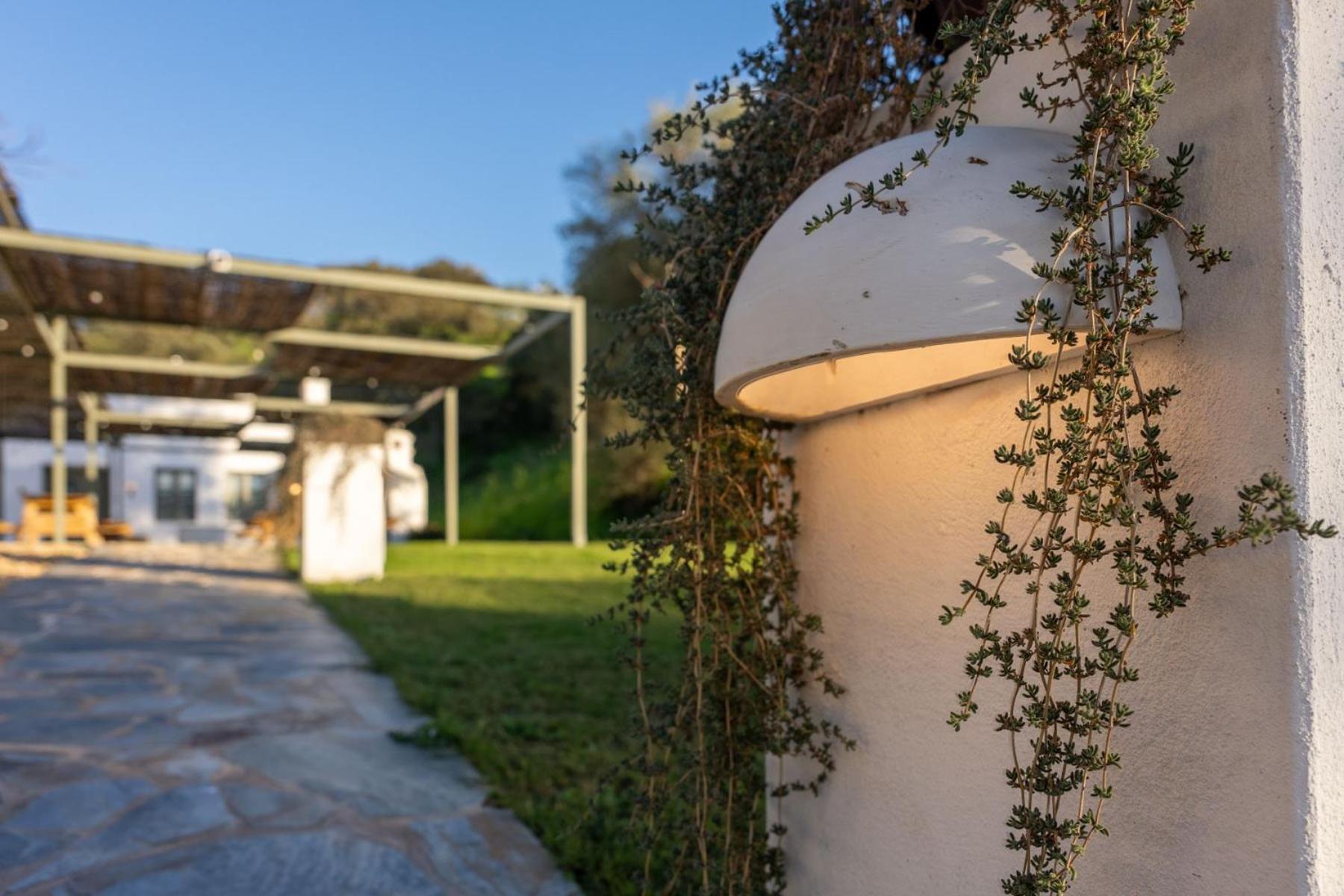 Apartamentos, Finca Contrabando Sanlucar Del Guadiana, Huelva Sanlúcar de Guadiana Exterior photo
